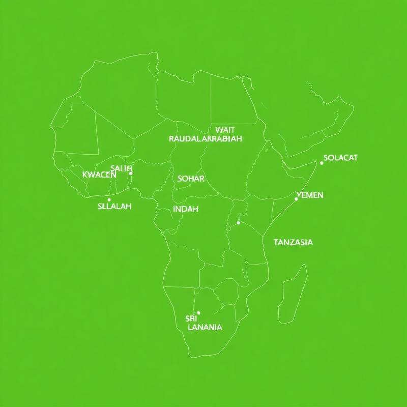 Our Network